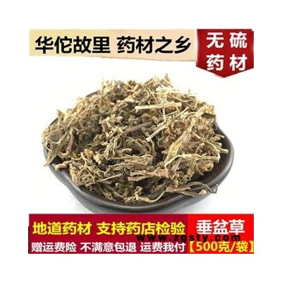 中药材野生垂盆草 垂盆草干货 垂盆草茶野生垂盆草新货500克包邮