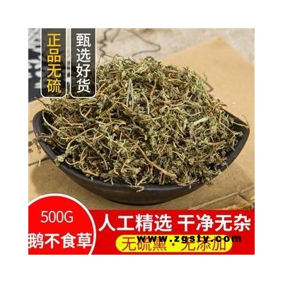 纯天然新鲜鹅不食草饿不食草鹅仔不吃草中草药中药材200g包邮