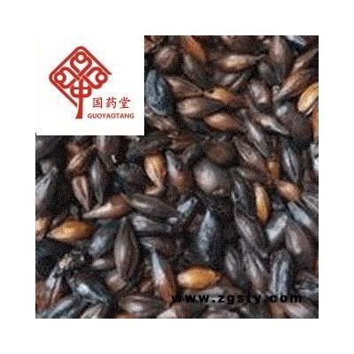 麦芽  焦麦芽 焦三仙 产地 山东省 国药堂 专注品质