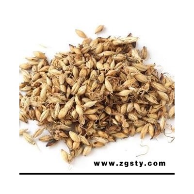 麦芽 炒麦芽统货 产地 河南省 产地直销 重在质量