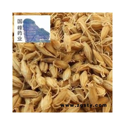 麦芽 芽多 好统货 无虫蛀 国峰药业 重在品质  产地 山东省