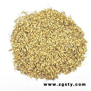 麦芽 麦芽统货 产地 山东省
