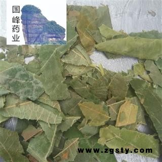 枇杷叶 批把叶 巴叶 统货 颜色好 国峰药业 重在品质 产地 浙江省