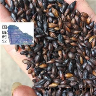 麦芽 焦麦芽 全干 国峰药业 产地 山东省