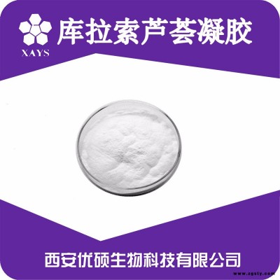 芦荟凝胶冻干粉 100:1 库拉索芦荟凝胶 芦荟冻干粉 新资源食品 优硕生物