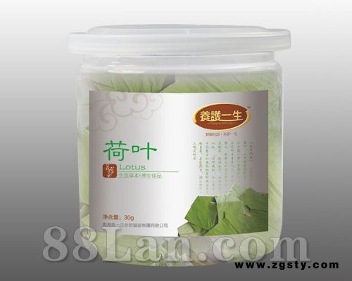 荷叶——罐装花草茶系列