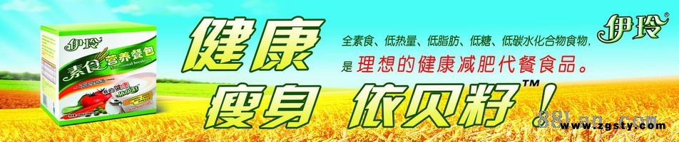 素食营养早餐 芦荟口香糖 珍珠奶球 招商加盟