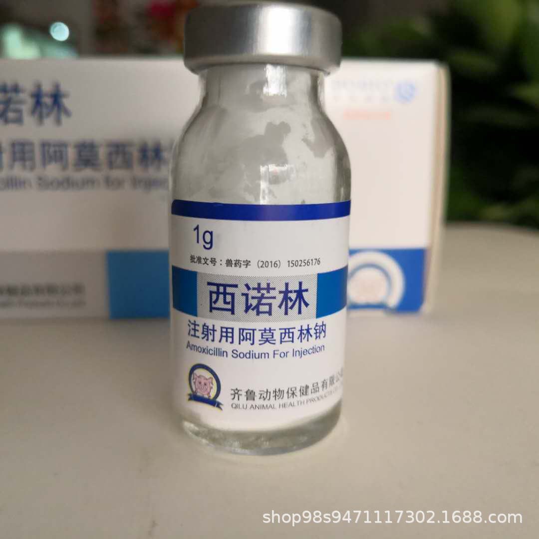 山东直销注射用钠注射液动物保健品钠西诺林示例图3