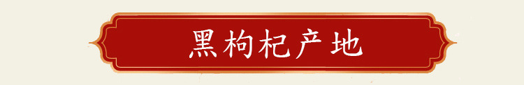 批发黑枸杞源 青海黑枸杞诺木洪野生散装 保健品黑枸杞量大从优示例图5